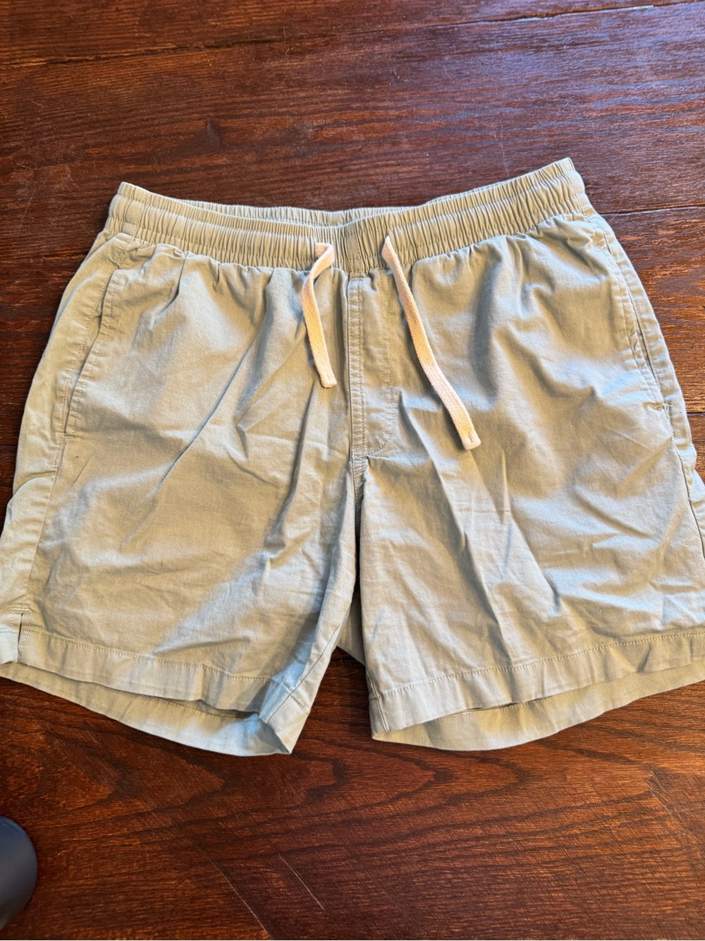 BearBottom -  Men's Light Green Drawstring Casual Shorts